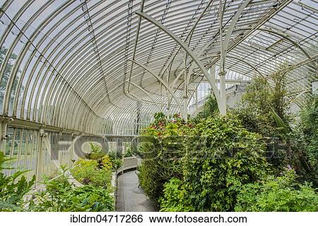 Greenhouse from 1849, also called Curvilinear Range, Botanical Garden, architect Richard Turner, interior view, Dublin, Ireland, Europe View Large Photo Image Stock Photograph - Greenhouse from 1849, also called Curvilinear Range, Botanical Garden, architect Richard Turner, interior view, Dublin, Ireland, Europe. Fotosearch
