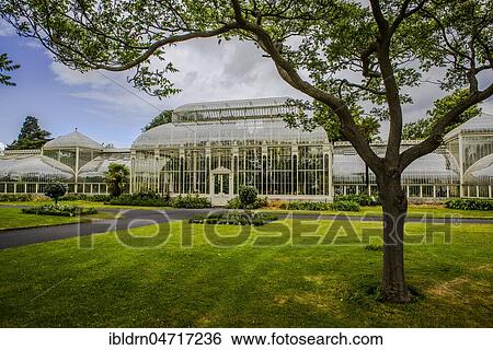 Stock Photograph - Greenhouse from 1849 in the botanical garden, also called Curvilinear Range, architect Richard Turner, Dublin, Ireland, Europe. Fotosearch