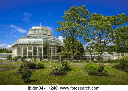 Greenhouse from 1884 in the botanical garden, Dublin, Ireland, Europe View Large Photo Image Stock Image - Greenhouse from 1884 in the botanical garden, Dublin, Ireland, Europe. Fotosearch