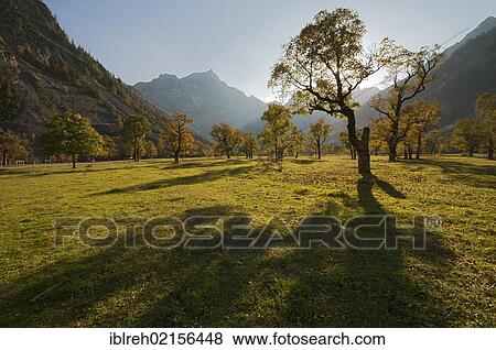 Stock Photo - Grosser Ahornboden, Big Maple Plain, Karwendel Mountains, Tyrol, Austria, Europe. Fotosearch