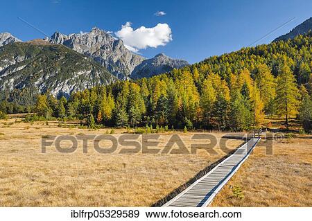 Stock Photo - High moor with footbridge, Piz San Jon Dadora, 3048m, Graubuenden, Switzerland, Europe. Fotosearch