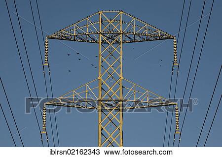 High voltage electricity pylon with birds, American Canyon, California, USA, North America View Large Photo Image Stock Image - High voltage electricity pylon with birds, American Canyon, California, USA, North America. Fotosearch