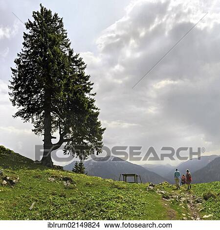 Hikers on Wendelstein Mountain in the Mangfall Mountains, Bavarian Prealps, Bayrischzell, Bavaria, Germany, Europe View Large Photo Image Picture - Hikers on Wendelstein Mountain in the Mangfall Mountains, Bavarian Prealps, Bayrischzell, Bavaria, Germany, Europe. Fotosearch