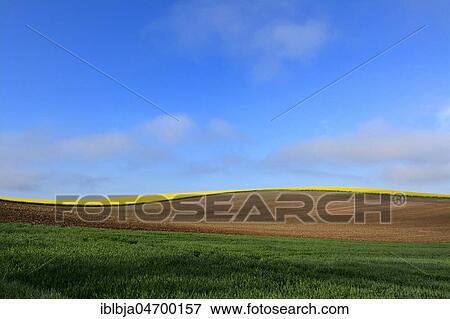 Hilly agricultural landscape, Limagne plain, Puy de Dome department, Auvergne-Rhône-Alpes, France, Europe View Large Photo Image Stock Photo - Hilly agricultural landscape, Limagne plain, Puy de Dome department, Auvergne-Rhône-Alpes, France, Europe. Fotosearch