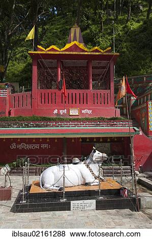 Stock Photo - Hinduism, Nandi bull, Hindu Temple, Kirateshwar Mahadev Temple, Legship, West Sikkim, Himalayas, India, South Asia, Asia. Fotosearch