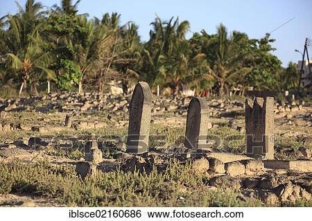 Historic Arabian cemetery at the excavation site of Al-Baleed, UNESCO World Heritage Site, Salalah, Oman, Arabian Peninsula, Middle East, Asia View Large Photo Image Stock Photograph - Historic Arabian cemetery at the excavation site of Al-Baleed, UNESCO World Heritage Site, Salalah, Oman, Arabian Peninsula, Middle East, Asia. Fotosearch