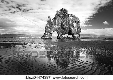 Hvitserkur rock formation at low tide, monochrome, Vatnsnes, Vatnsnes Peninsula, Norðurland vestra, Northwest Iceland, Iceland, Europe View Large Photo Image Stock Photo - Hvitserkur rock formation at low tide, monochrome, Vatnsnes, Vatnsnes Peninsula, Norðurland vestra, Northwest Iceland, Iceland, Europe. Fotosearch