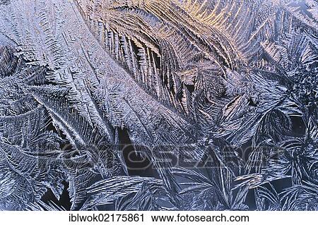 Stock Image - Ice flowers on a window, Bavaria, Germany, Europe. Fotosearch