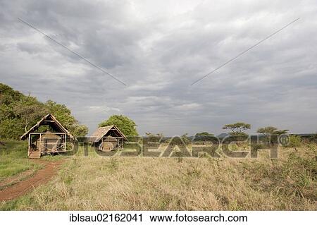 Stock Image - Ikoma Wild Camp, covered tents in the vast savannah, Serengeti National Park, Tanzania, East Africa, Africa. Fotosearch