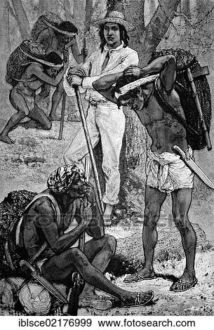 Indiarubber gatherers, New Granada, South America, historical engraving of 1883 View Large Photo Image Stock Photo - Indiarubber gatherers, New Granada, South America, historical engraving of 1883. Fotosearch