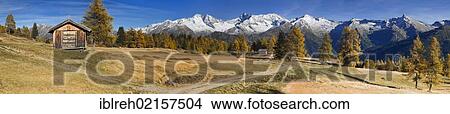 Picture - Laerchenwiesen larch meadows, in front of the Olperer, Fussstein, Schrammacher, Sagwandspitze, Vinaders and Obernberg Mountains, Tyrol, Austria, Europe. Fotosearch