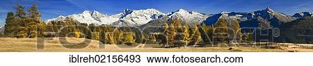 Laerchenwiesen larch meadows, in front of the Olperer, Fussstein, Schrammacher, Sagwandspitze, Vinaders and Obernberg Mountains, Tyrol, Austria, Europe View Large Photo Image Stock Image - Laerchenwiesen larch meadows, in front of the Olperer, Fussstein, Schrammacher, Sagwandspitze, Vinaders and Obernberg Mountains, Tyrol, Austria, Europe. Fotosearch