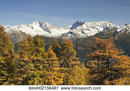 Laerchenwiesen larch meadows, in front of the Olperer, Fussstein, Schrammacher, Vinaders and Obernberg Mountains, Tyrol, Austria, Europe View Large Photo Image Stock Photo - Laerchenwiesen larch meadows, in front of the Olperer, Fussstein, Schrammacher, Vinaders and Obernberg Mountains, Tyrol, Austria, Europe. Fotosearch