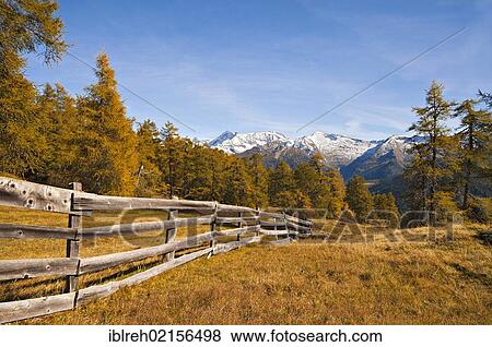 Laerchenwiesen larch meadows, in front of the Fussstein, Schrammacher, Sagwandspitze, Vinaders and Obernberg Mountains, Tyrol, Austria, Europe View Large Photo Image Stock Photo - Laerchenwiesen larch meadows, in front of the Fussstein, Schrammacher, Sagwandspitze, Vinaders and Obernberg Mountains, Tyrol, Austria, Europe. Fotosearch