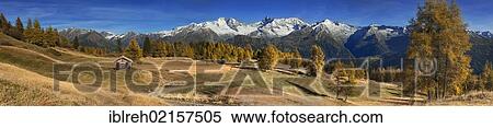 Stock Photography - Laerchenwiesen larch meadows, in front of the Olperer, Fussstein, Schrammacher, Sagwandspitze, Vinaders and Obernberg Mountains, Tyrol, Austria, Europe. Fotosearch