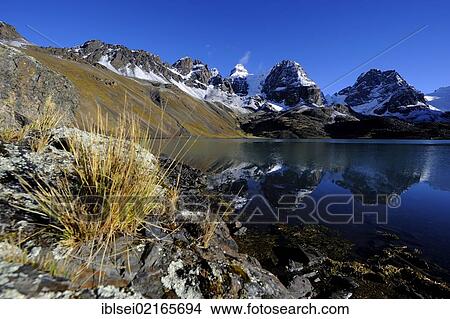 Lagoon with a reflection of the Andes Mountains, Tuni, La Paz, Bolivia, South America View Large Photo Image Picture - Lagoon with a reflection of the Andes Mountains, Tuni, La Paz, Bolivia, South America. Fotosearch