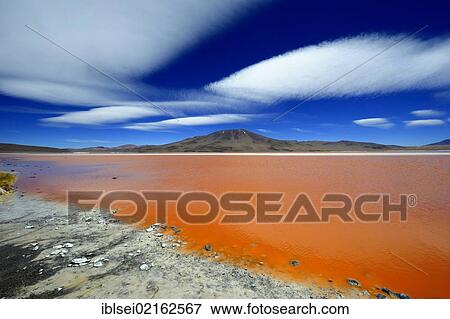 Laguna Colorada lagoon with red water and clouds in the sky, Uyuni, Bolivia, South America View Large Photo Image Stock Photo - Laguna Colorada lagoon with red water and clouds in the sky, Uyuni, Bolivia, South America. Fotosearch