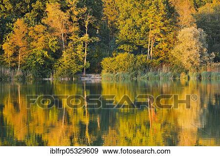 Stock Photo - Lake Burgaeschi, Solothurn, Switzerland, Lake Burgäschi, Europe. Fotosearch