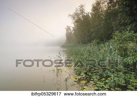 Lake Burgaeschi, Solothurn, Switzerland, Lake Burgäschi, Europe View Large Photo Image Stock Photo - Lake Burgaeschi, Solothurn, Switzerland, Lake Burgäschi, Europe. Fotosearch