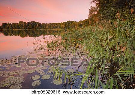 Stock Photograph - Lake Burgaeschi, Solothurn, Switzerland, Lake Burgäschi, Europe. Fotosearch