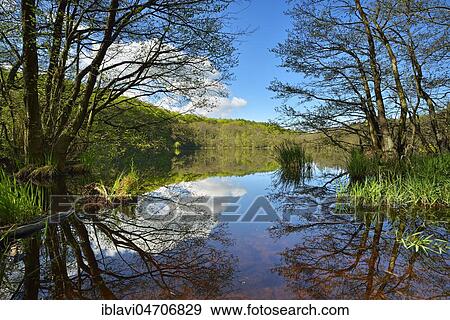 Lake Herthaseee, Jasmund National Park, UNESCO World Heritage Site, Island of Rügen, Mecklenburg-Western Pomerania, Germany, Europe View Large Photo Image Stock Photo - Lake Herthaseee, Jasmund National Park, UNESCO World Heritage Site, Island of Rügen, Mecklenburg-Western Pomerania, Germany, Europe. Fotosearch