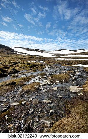Landscape at the Låkktajåkka, Lakktajakka mountains, Lapland, northern Sweden, Sweden, Scandinavia, Europe View Large Photo Image Stock Photo - Landscape at the Låkktajåkka, Lakktajakka mountains, Lapland, northern Sweden, Sweden, Scandinavia, Europe. Fotosearch