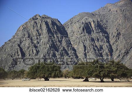 Landscape of Wadi Sal al-A'la, acacia woodland, in the Omani enclave of Musandam, Oman, Middle East, Asia View Large Photo Image Stock Photo - Landscape of Wadi Sal al-A'la, acacia woodland, in the Omani enclave of Musandam, Oman, Middle East, Asia. Fotosearch