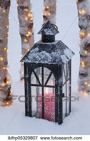 Stock Photo - Lantern with illuminated birch trunks. Fotosearch