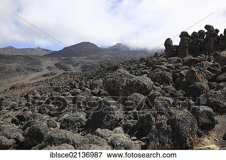 Stock Photo - Lava Tower Pass at 4600 m, Mount Kilimanjaro, Tanzania, Africa. Fotosearch