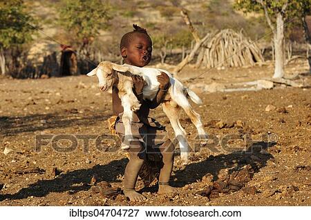 Little Himba boy carrying a goat, Kunene District, Kaokoveld, Namibia, Africa View Large Photo Image Stock Photo - Little Himba boy carrying a goat, Kunene District, Kaokoveld, Namibia, Africa. Fotosearch
