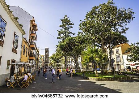 Lively alley in the pedestrian zone, bell tower of the church Iglesia de Nuestra Senora de la Concepcion, Old Town, San Cristóbal de La Laguna, Tenerife, Canary Islands, Canary Islands, Spain, Europe View Large Photo Image Stock Image - Lively alley in the pedestrian zone, bell tower of the church Iglesia de Nuestra Senora de la Concepcion, Old Town, San Cristóbal de La Laguna, Tenerife, Canary Islands, Canary Islands, Spain, Europe. Fotosearch