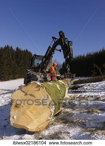 Picture - Logging, felled wood being processed into lumber, Freiamt, Black Forest, Baden-Wuerttemberg, Germany, Europe, PublicGround, Europe. Fotosearch