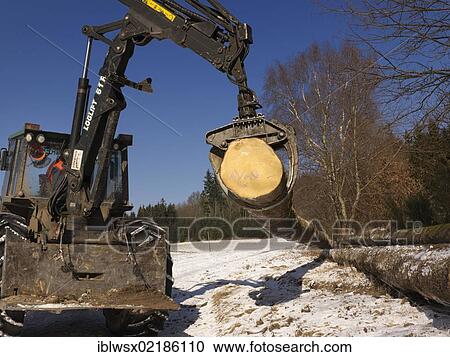 Logging, felled wood being processed into lumber, Freiamt, Black Forest, Baden-Wuerttemberg, Germany, Europe, PublicGround, Europe View Large Photo Image Stock Image - Logging, felled wood being processed into lumber, Freiamt, Black Forest, Baden-Wuerttemberg, Germany, Europe, PublicGround, Europe. Fotosearch