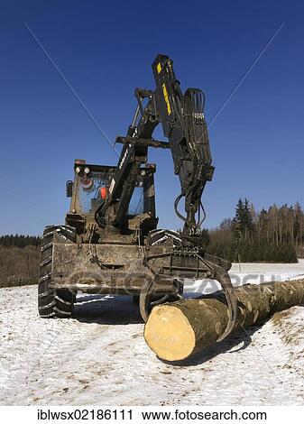 Logging, felled wood being processed into lumber, Freiamt, Black Forest, Baden-Wuerttemberg, Germany, Europe, PublicGround, Europe View Large Photo Image Stock Image - Logging, felled wood being processed into lumber, Freiamt, Black Forest, Baden-Wuerttemberg, Germany, Europe, PublicGround, Europe. Fotosearch
