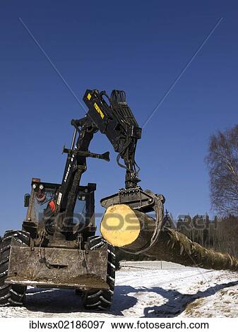 Logging, felled wood being processed into lumber, Freiamt, Black Forest, Baden-Wuerttemberg, Germany, Europe, PublicGround, Europe View Large Photo Image Stock Photo - Logging, felled wood being processed into lumber, Freiamt, Black Forest, Baden-Wuerttemberg, Germany, Europe, PublicGround, Europe. Fotosearch