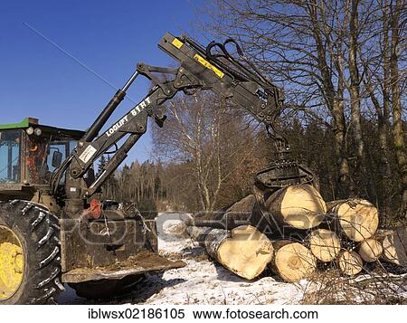 Logging, felled wood being processed into lumber, Freiamt, Black Forest, Baden-Wuerttemberg, Germany, Europe, PublicGround, Europe View Large Photo Image Stock Photography - Logging, felled wood being processed into lumber, Freiamt, Black Forest, Baden-Wuerttemberg, Germany, Europe, PublicGround, Europe. Fotosearch