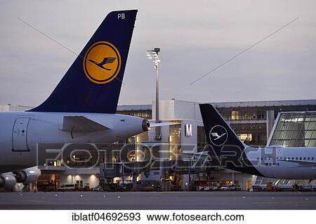 Lufthansa, Airbus, A321-100, New Livery, old and new Lufthansa Design, at dusk, in front of Terminal 2, Munich Airport, Upper Bavaria, Bavaria, Germany, Europe View Large Photo Image Stock Image - Lufthansa, Airbus, A321-100, New Livery, old and new Lufthansa Design, at dusk, in front of Terminal 2, Munich Airport, Upper Bavaria, Bavaria, Germany, Europe. Fotosearch