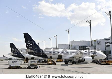 Lufthansa, Airbus, A321-100, New Livery, Terminal 2, Munich Airport, Upper Bavaria, Bavaria, Germany, Europe View Large Photo Image Stock Photograph - Lufthansa, Airbus, A321-100, New Livery, Terminal 2, Munich Airport, Upper Bavaria, Bavaria, Germany, Europe. Fotosearch