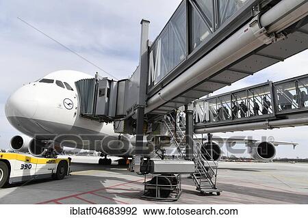 Lufthansa, Airbus, A380-800, with docked passenger bridges, Terminal 2, Munich Airport, Upper Bavaria, Bavaria, Germany, Europe View Large Photo Image Stock Image - Lufthansa, Airbus, A380-800, with docked passenger bridges, Terminal 2, Munich Airport, Upper Bavaria, Bavaria, Germany, Europe. Fotosearch