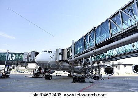 Stock Photograph - Lufthansa, Airbus, A380-800, with passenger bridges, at position, Terminal 2, Munich Airport, Upper Bavaria, Bavaria, Germany, Europe. Fotosearch