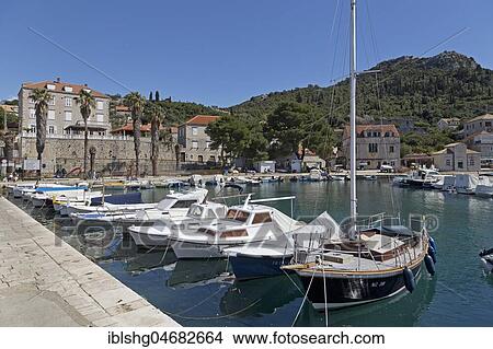 Marina, Lopud Island, Elaphite Islands, Dalmatia, Croatia, Europe View Large Photo Image Picture - Marina, Lopud Island, Elaphite Islands, Dalmatia, Croatia, Europe. Fotosearch