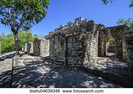 Stock Photo - Mayan city of Calakmul, Calakmul Biosphere Reserve, Campeche, Mexico, Central America. Fotosearch