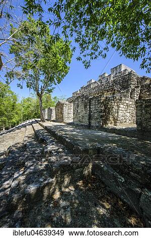 Stock Photo - Mayan city of Calakmul, Calakmul Biosphere Reserve, Campeche, Mexico, Central America. Fotosearch