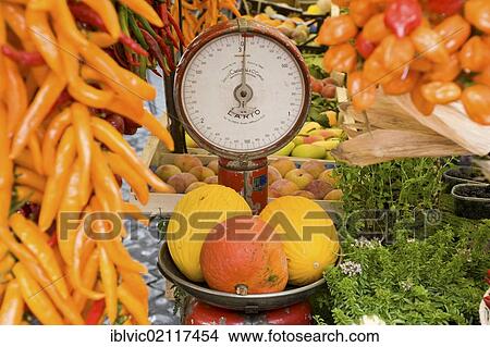 Melons on scale, Campo de Fiori, Rome, Italy, Europe View Large Photo Image Picture - Melons on scale, Campo de Fiori, Rome, Italy, Europe. Fotosearch