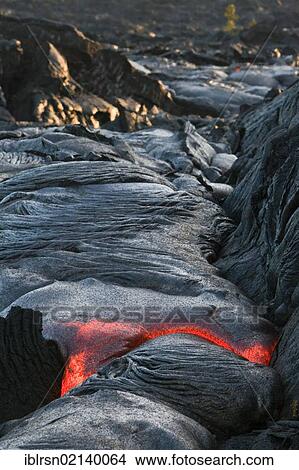 Molten pahoehoe type lava flowing from a crack in the East Rift Zone towards the sea, lava field of the Kilauea shield volcano, Hawai'i Volcanoes National Park, Kalapana, Hawai'i, USA, North America View Large Photo Image Picture - Molten pahoehoe type lava flowing from a crack in the East Rift Zone towards the sea, lava field of the Kilauea shield volcano, Hawai'i Volcanoes National Park, Kalapana, Hawai'i, USA, North America. Fotosearch