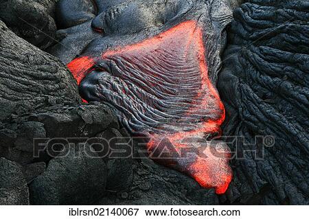 Molten pahoehoe type lava flowing from a crack in the East Rift Zone towards the sea, lava field of the Kilauea shield volcano, Hawai'i Volcanoes National Park, Kalapana, Hawai'i, USA, North America View Large Photo Image Stock Photo - Molten pahoehoe type lava flowing from a crack in the East Rift Zone towards the sea, lava field of the Kilauea shield volcano, Hawai'i Volcanoes National Park, Kalapana, Hawai'i, USA, North America. Fotosearch