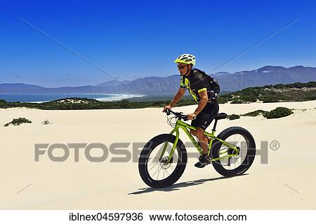 Stock Photograph - Mountain biker with fat bike in sand dunes, bike tour at Die Plaat Beach, Nature Reserve, De Kelders, Gansbaai, Western Cape, South Africa, Africa. Fotosearch