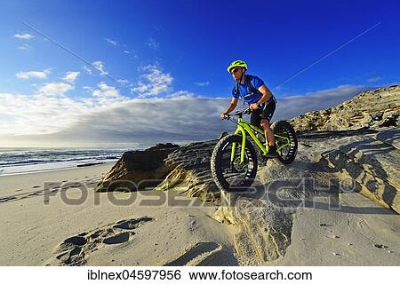 Mountain biker with fat bike on the beach, bike tour at Die Plaat Beach, Nature Reserve, De Kelders, Gansbaai, Western Cape, South Africa, Africa View Large Photo Image Stock Photograph - Mountain biker with fat bike on the beach, bike tour at Die Plaat Beach, Nature Reserve, De Kelders, Gansbaai, Western Cape, South Africa, Africa. Fotosearch