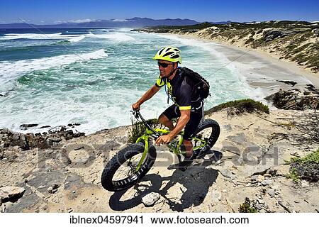 Mountain biker with Fatbike on cliff, bike tour at Die Plaat Beach, Nature Reserve, De Kelders, Gansbaai, Western Cape, South Africa, Africa View Large Photo Image Stock Image - Mountain biker with Fatbike on cliff, bike tour at Die Plaat Beach, Nature Reserve, De Kelders, Gansbaai, Western Cape, South Africa, Africa. Fotosearch