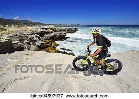 Mountain biker with Fatbike on cliff, bike tour at Die Plaat Beach, Nature Reserve, De Kelders, Gansbaai, Western Cape, South Africa, Africa View Large Photo Image Stock Photo - Mountain biker with Fatbike on cliff, bike tour at Die Plaat Beach, Nature Reserve, De Kelders, Gansbaai, Western Cape, South Africa, Africa. Fotosearch
